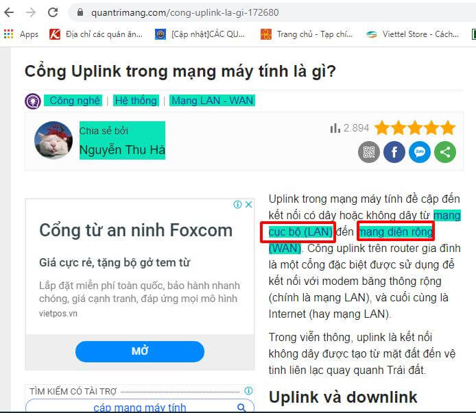 backlink dofollow