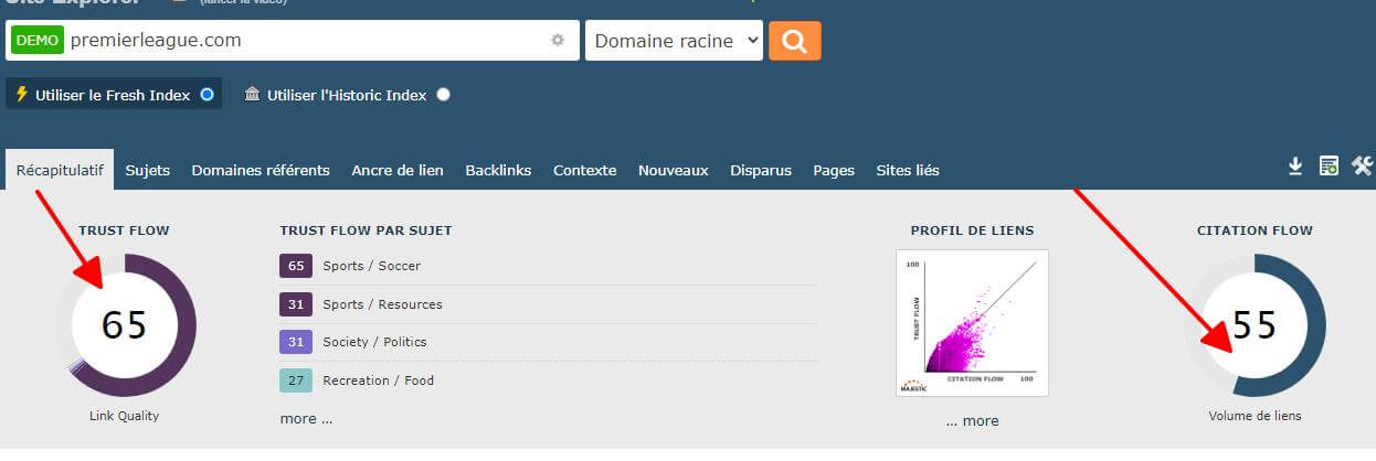 seo tool