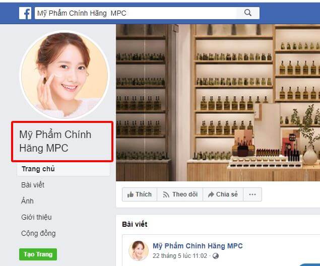 seo fanpge