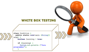 White box testing